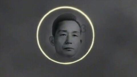 探索鱼隔夜放冰箱能吃吗——最新动态与讨论